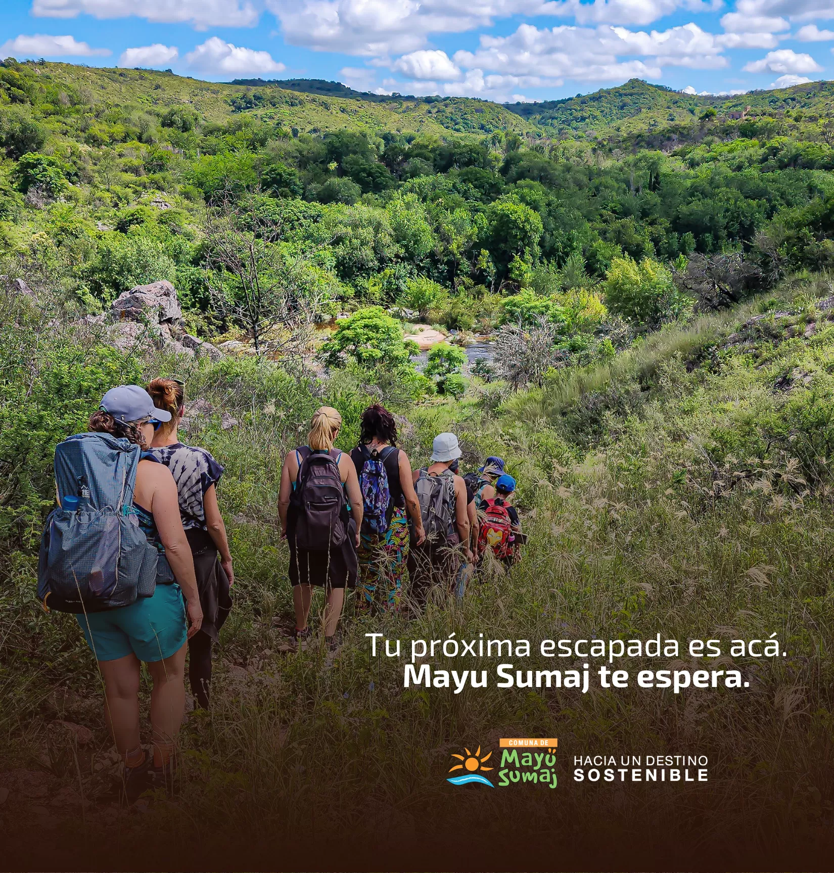 slider principal mayu web mobile